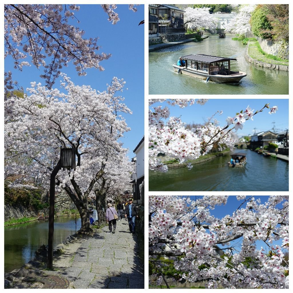 015八番堀.jpg