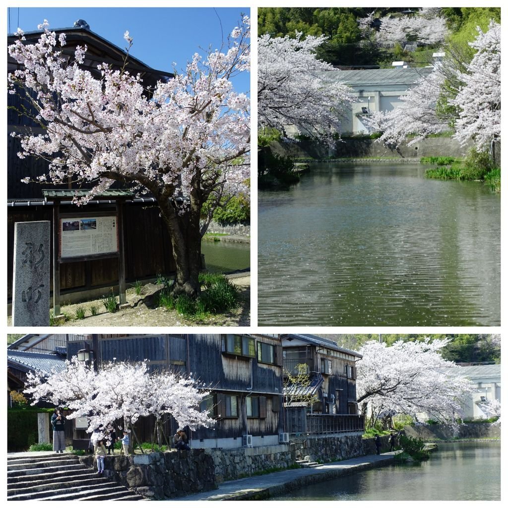 017八番堀.jpg