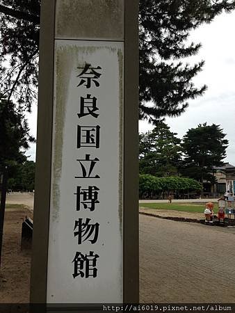 IMG_8033.JPG