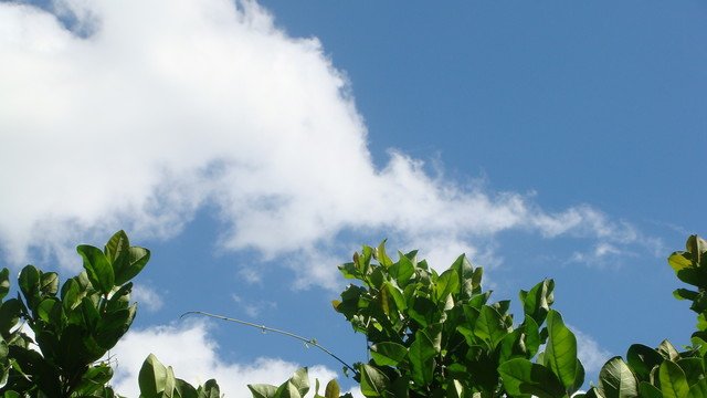 1105577627-20090712-1.jpg