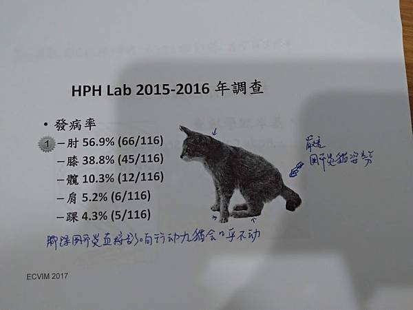 貓的退化性關節炎統計調查2-黃慧璧教授在2018拜耳飼主教育資料.jpg