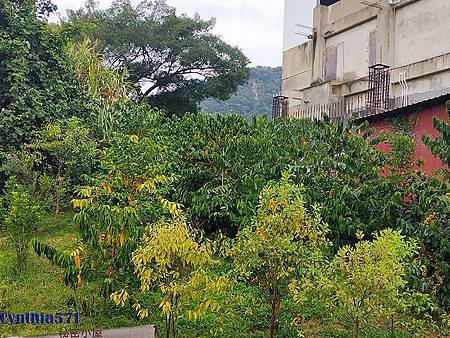 IMG_20181231_085201.jpg