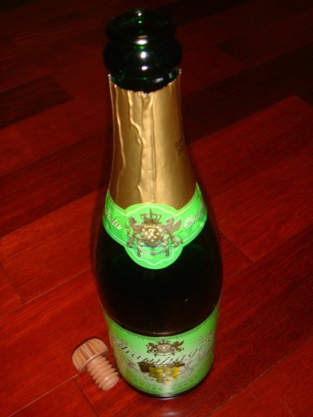 DSC01539.JPG