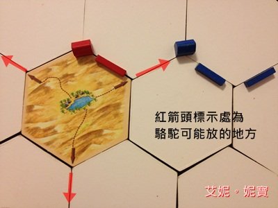 AININIBO艾妮妮寶_Board Game 桌遊 Catan 卡坦島 Traderes &amp; Barbarians 野蠻人擴充21