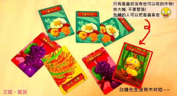 AININIBO艾妮妮寶_Board Game 桌遊 Greedy Farm 貪心農場1