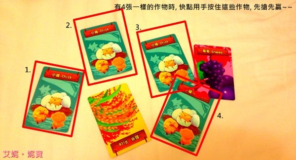 AININIBO艾妮妮寶_Board Game 桌遊 Greedy Farm 貪心農場2