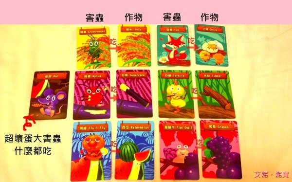 AININIBO艾妮妮寶_Board Game 桌遊 Greedy Farm 貪心農場5