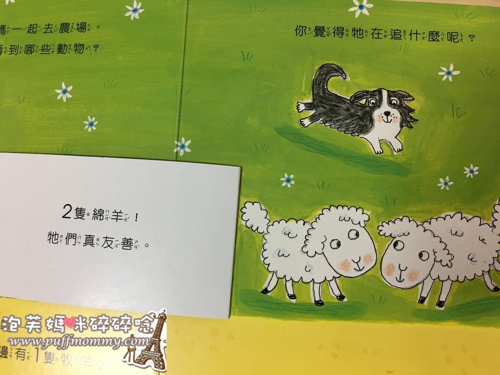 [繪本] 三采文化─露露硬頁翻翻書