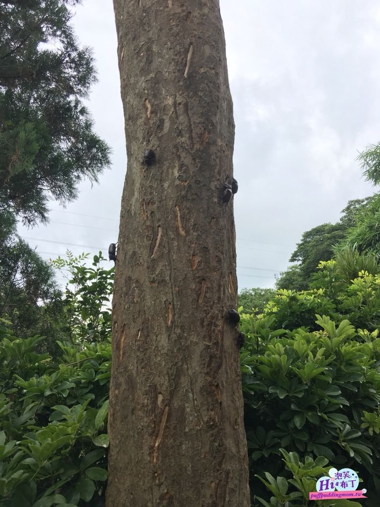 2018/07/12 小人國主題樂園