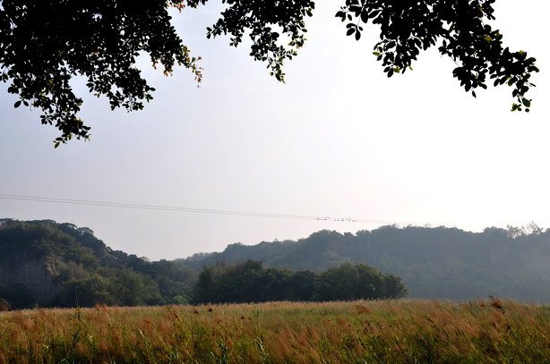 DSC_2410
