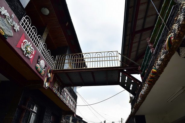 DSC_2248
