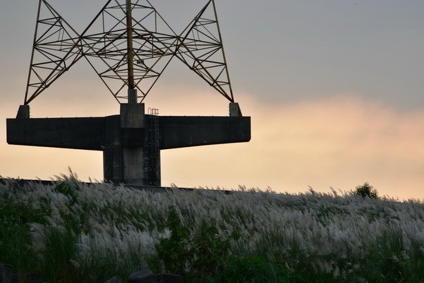 DSC_3895
