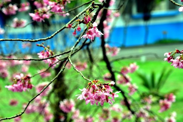 DSC_3385.JPG