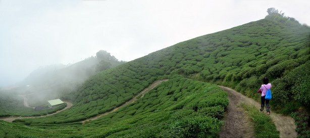 DSC_4079-1.jpg
