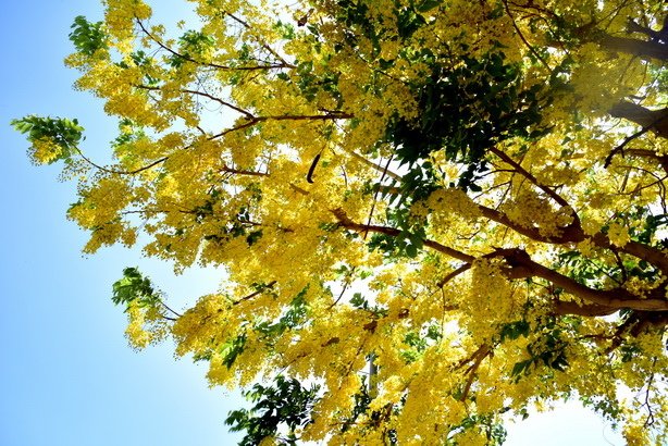 DSC_5733.JPG