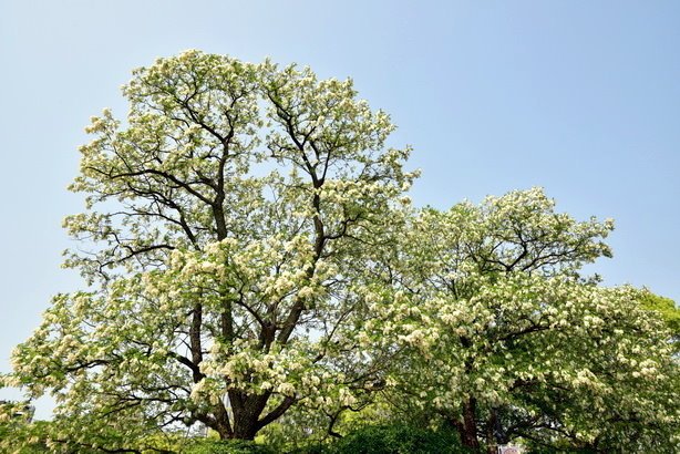 DSC_4091.JPG