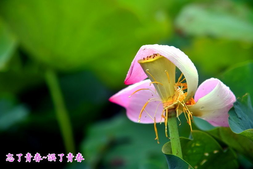 DSC_3854.JPG