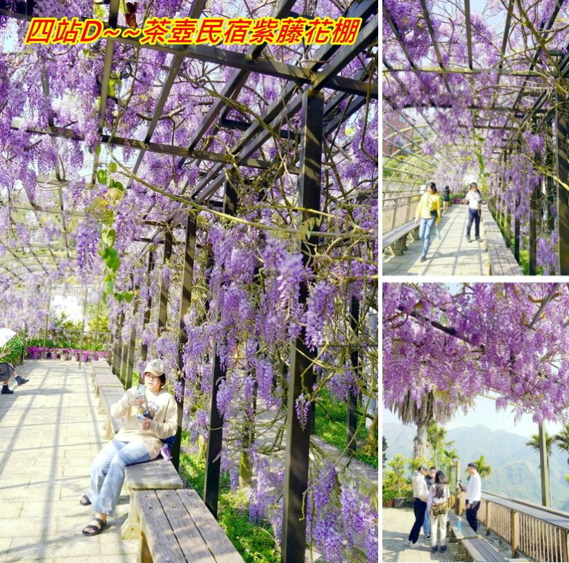 2025相約在紫色山城~~瑞里紫藤花季的浪漫