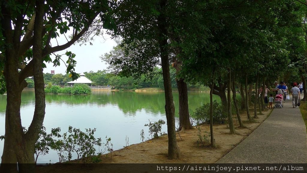 桃園-八德埤塘生態公園-03.jpg