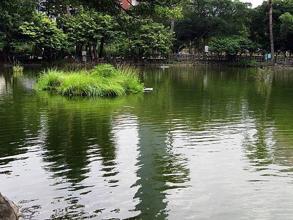 nEO_IMG_IMG_2444.jpg
