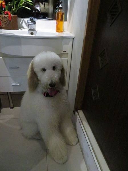 nEO_IMG_IMG_2529.jpg