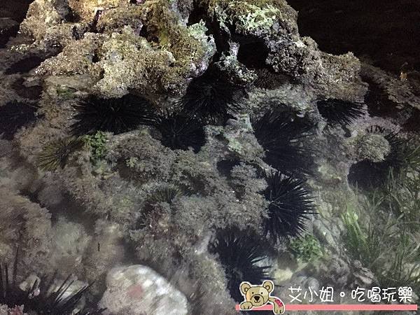 小琉球 33.JPG