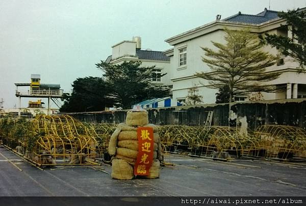 才藝技能廣場 造型無農藥殘毒番茄 佔地2000坪