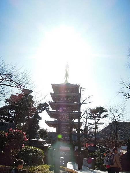 DSCN2674