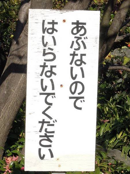 DSCN2677