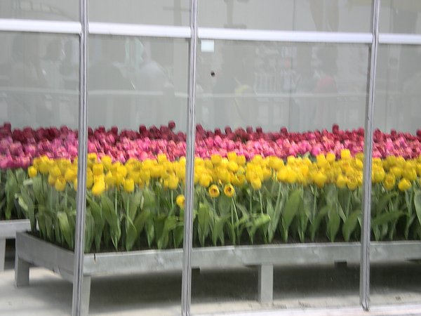 DSCN1527.JPG