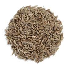 cumin seed.jpg