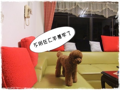 DSCF2187.JPG