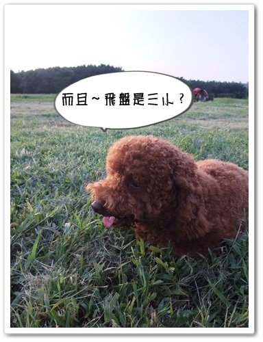 DSCF1889.JPG
