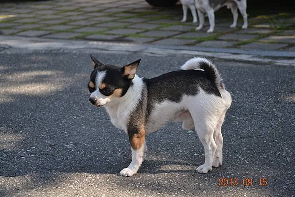 DSC_0217.JPG