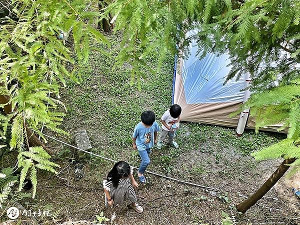 森呼吸露營區｜南投露營區推薦｜中寮鄉｜低海拔森林系露營｜滿滿