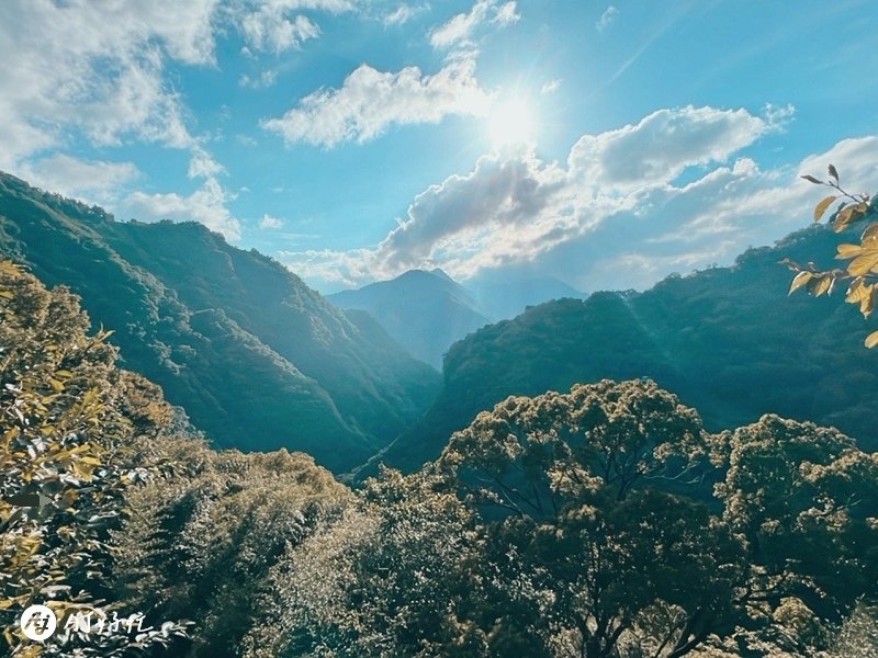 微風山崚露營區｜桃園露營區推薦｜復興鄉｜拉拉山露營｜包區露營