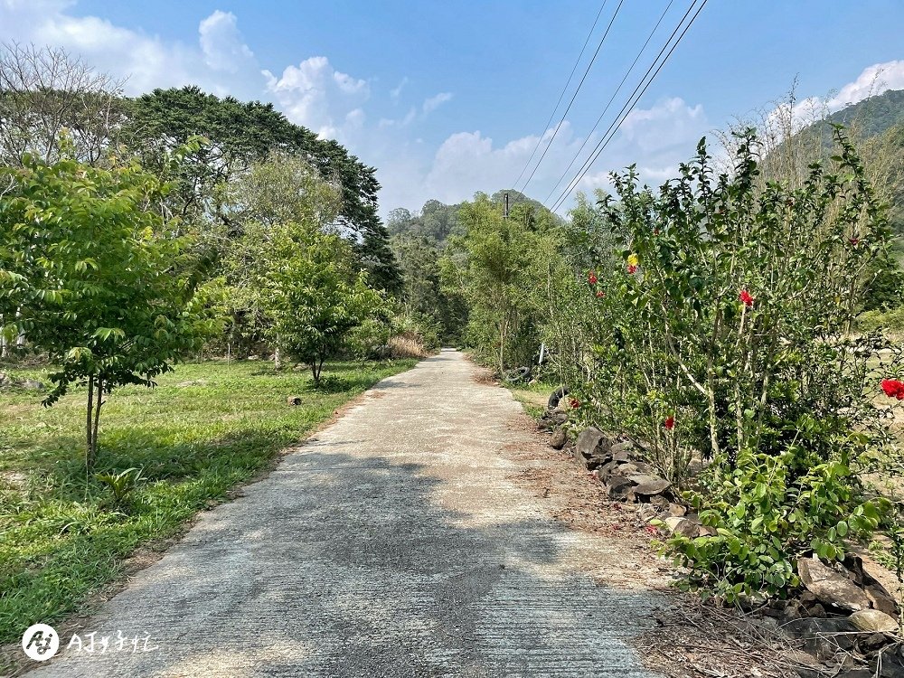 山中水手露營區｜高雄露營區推薦｜桃源區｜類野營半原始風貌的無