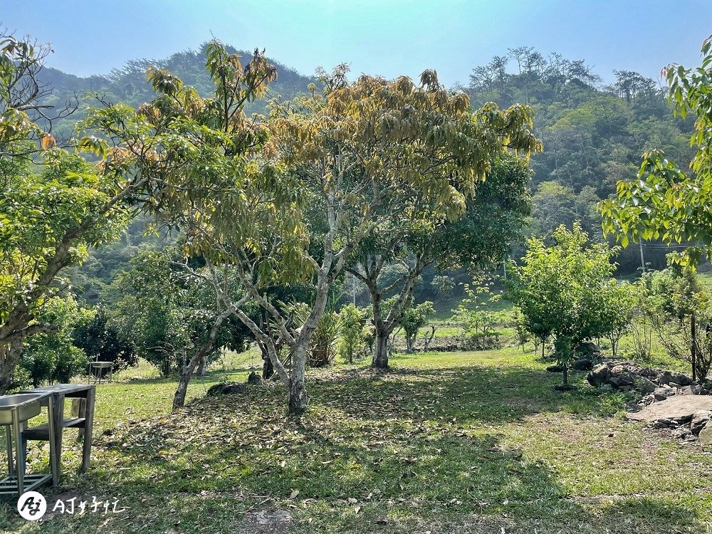 山中水手露營區｜高雄露營區推薦｜桃源區｜類野營半原始風貌的無