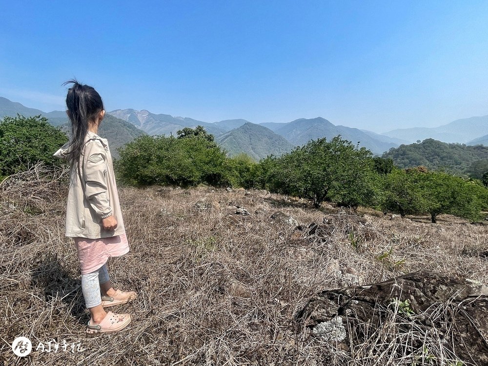 山中水手露營區｜高雄露營區推薦｜桃源區｜類野營半原始風貌的無