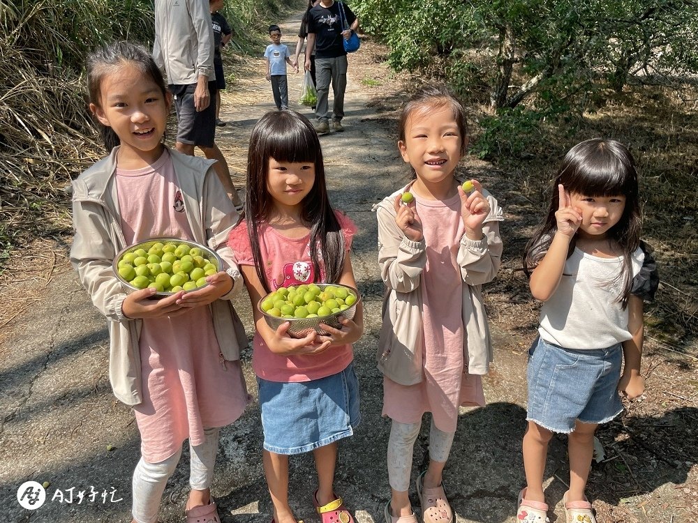 山中水手露營區｜高雄露營區推薦｜桃源區｜類野營半原始風貌的無