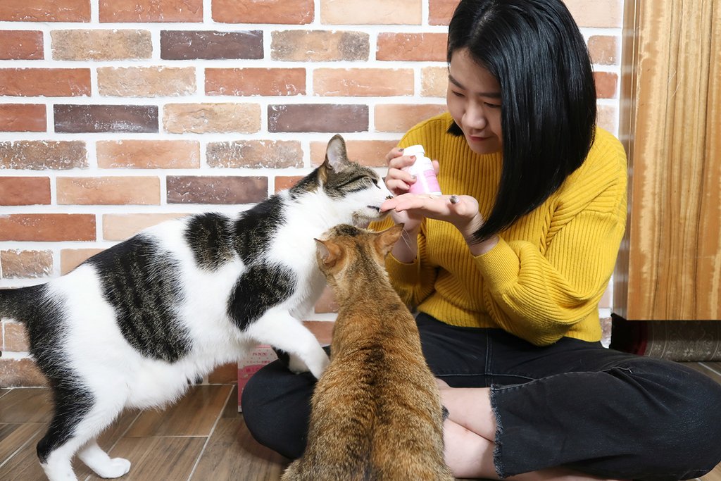 PS BUBU DOG %26;amp; CAT 超級黑酵母－極上的38種-寵物保健食品 (4).JPG
