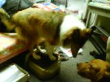 DSC00075.jpg