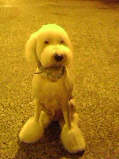 IMG0070A.jpg