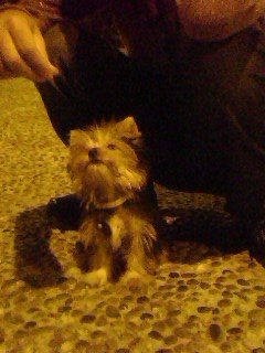 IMG0074A.jpg