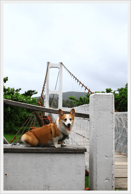 IMG_0003_1.png