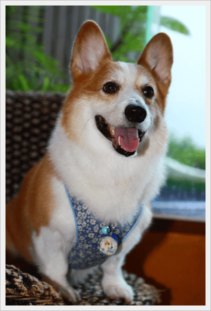 IMG_8998.png