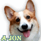 okajon.gif