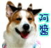 okjon_4.gif
