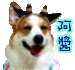 okjon_5.gif