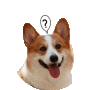 qq.gif